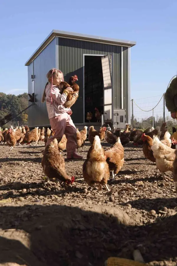 Ein Mädchen hält ein Huhn im Arm, um sie herum viele Hühner vor dem mobilen Hühnerstall