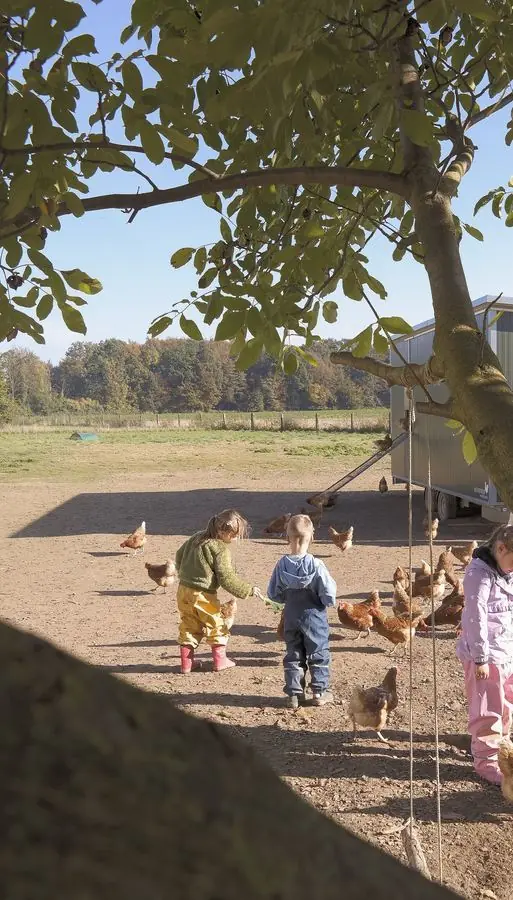 Zwei Kinder füttern unter einem Walnussbaum die Hühner