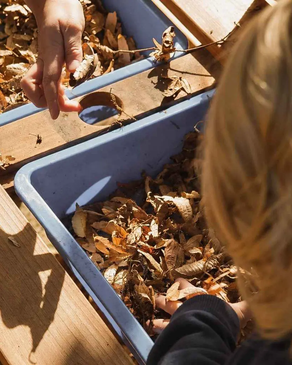Kinderhände greifen in Laub in einer blauen Wanne