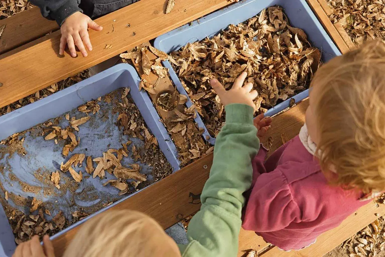 Kinderhände greifen in Laub in blauen Wannen auf einem Holztisch